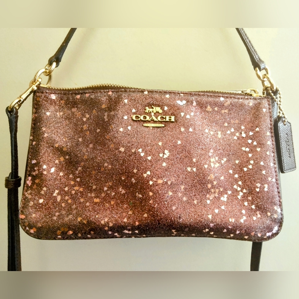 Coach Glittery Heart Wizard of Oz